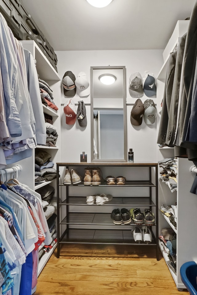 spacious closet featuring wood-type flooring