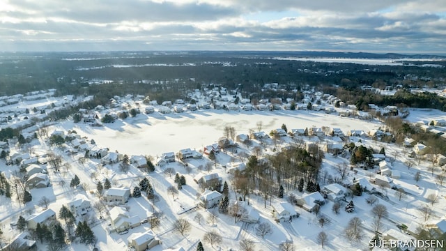 view of snowy aerial view