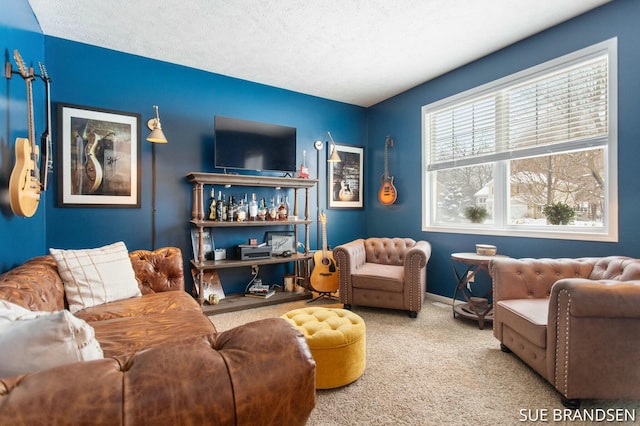 carpeted living room featuring a textured ceiling