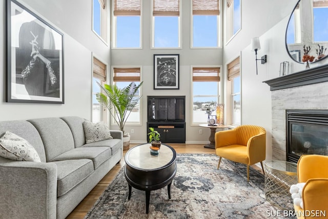 living room with hardwood / wood-style flooring