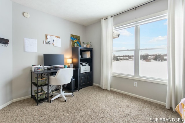 home office with carpet