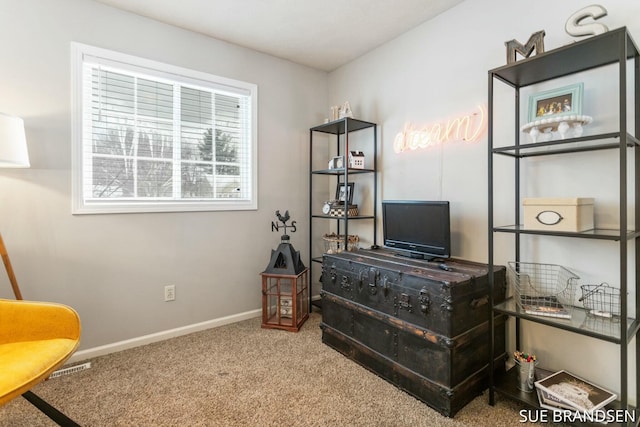 living area with carpet floors