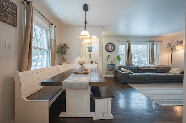 dining room featuring dark hardwood / wood-style floors