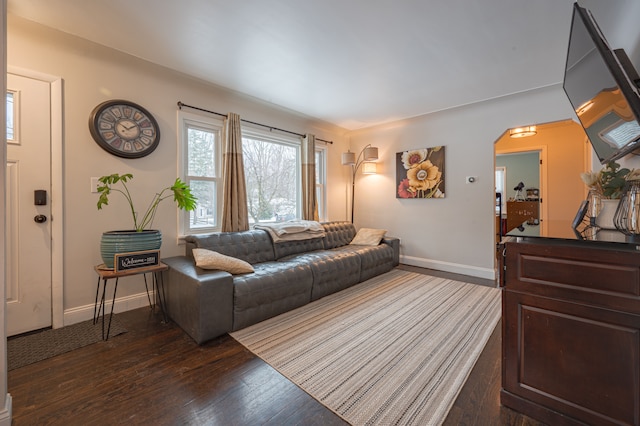 living room featuring dark hardwood / wood-style flooring