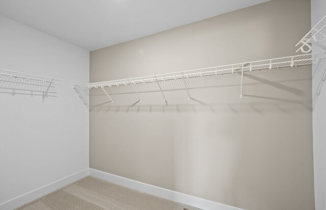 spacious closet featuring carpet