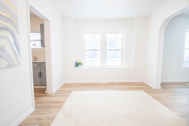 empty room featuring light hardwood / wood-style floors and plenty of natural light