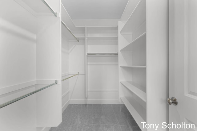 spacious closet with carpet flooring
