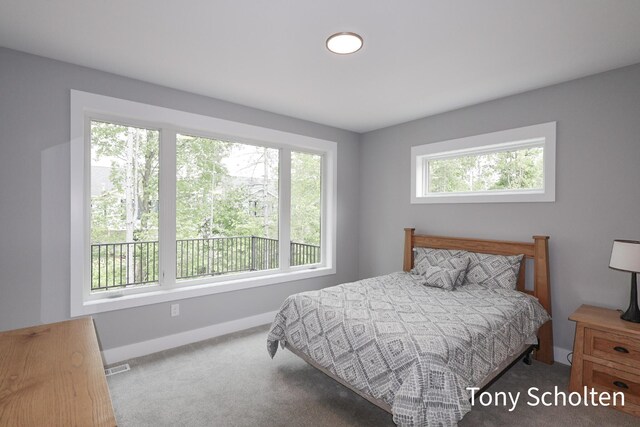 5157 Blendon Wds Ct Unit 15, Hudsonville, MI 49426 - bedroom featuring baseboards and carpet floors
