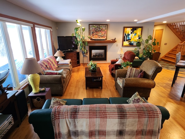 living room with wood-type flooring