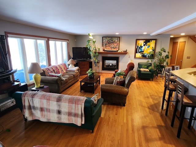 living room with light wood-type flooring