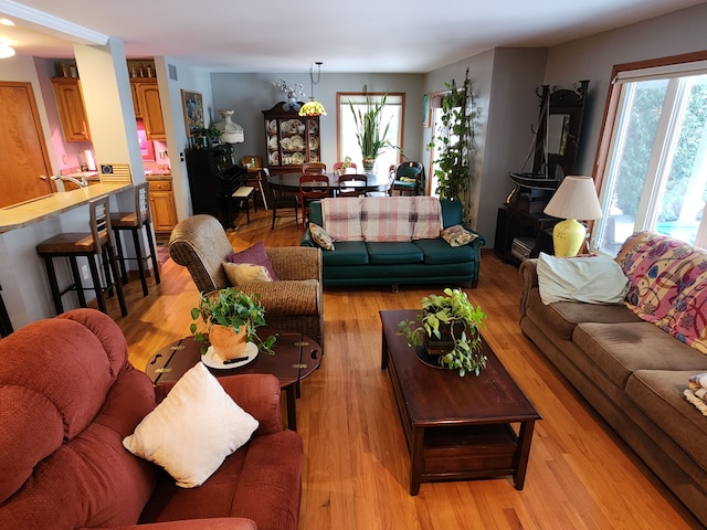 living room with light wood-type flooring