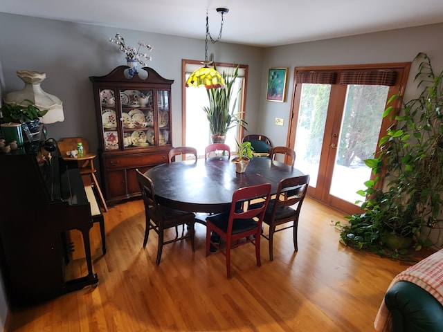 dining room with light wood-type flooring