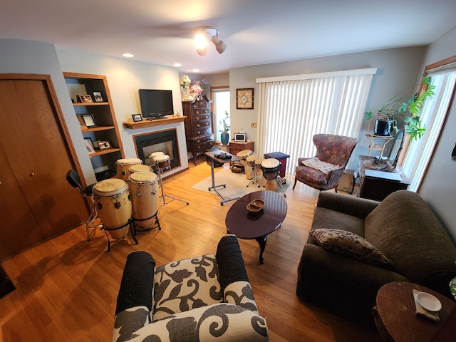 living room featuring ceiling fan, a wealth of natural light, and light hardwood / wood-style flooring