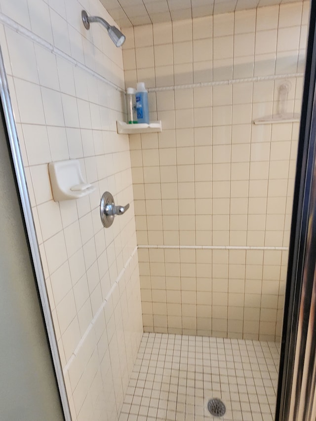 bathroom with a shower with door