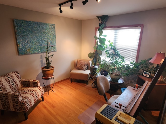 office space featuring track lighting and hardwood / wood-style floors