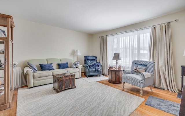 living room with light wood-type flooring