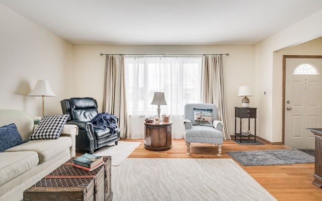 living room featuring hardwood / wood-style floors