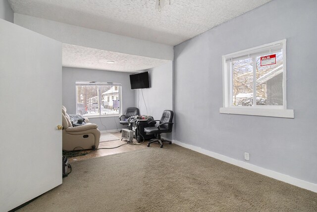 office with carpet floors and a textured ceiling