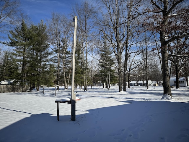 view of yard covered in snow