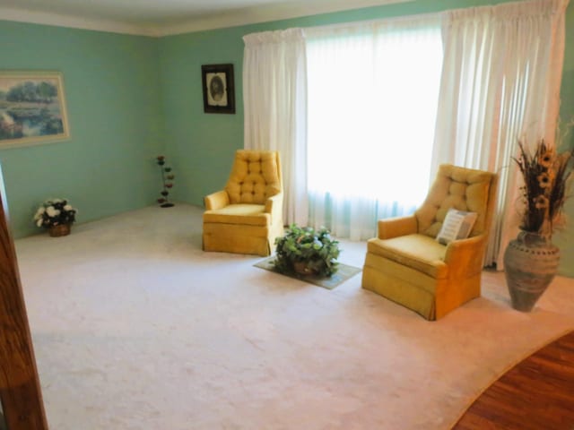 living area featuring carpet