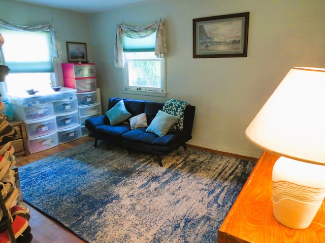 living area featuring dark wood-type flooring