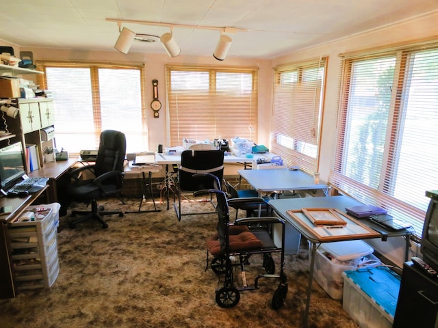 home office with carpet floors