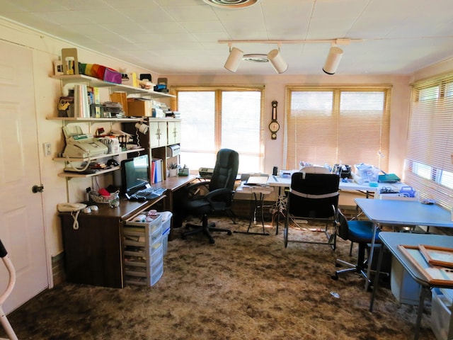 view of carpeted home office