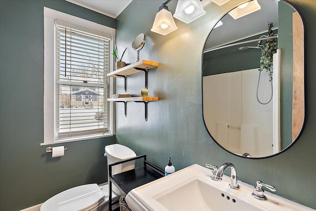 bathroom featuring toilet, crown molding, and sink