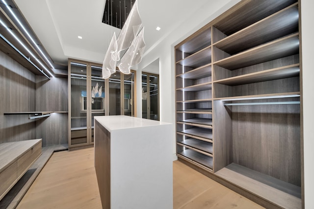 spacious closet with light hardwood / wood-style flooring