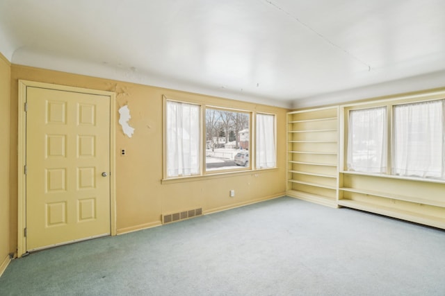 interior space featuring a wealth of natural light and carpet