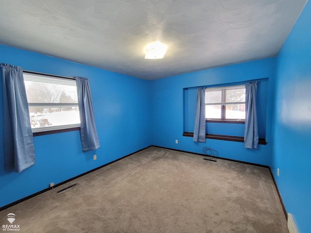 carpeted spare room featuring plenty of natural light and a baseboard radiator