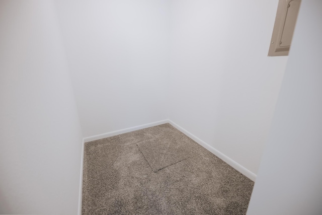 walk in closet featuring carpet floors