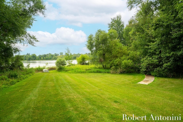 view of yard with a water view