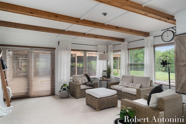 living room with carpet floors