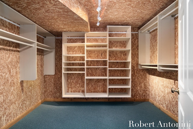 spacious closet with carpet