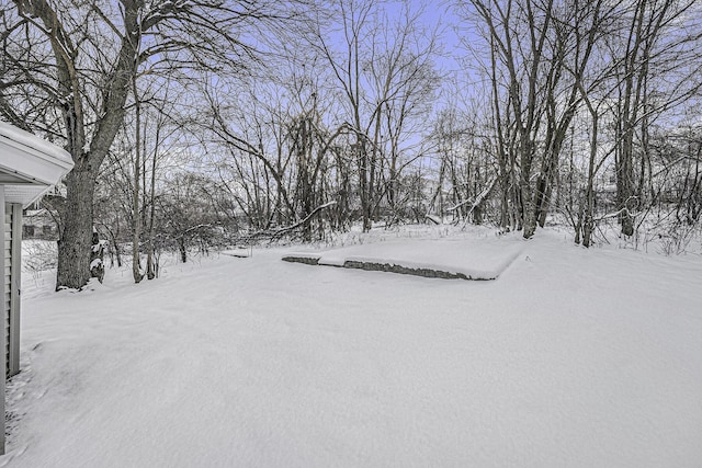 view of yard covered in snow