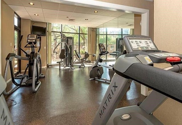 workout area with a healthy amount of sunlight, a paneled ceiling, and floor to ceiling windows