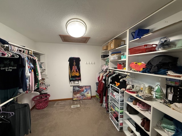 walk in closet featuring carpet