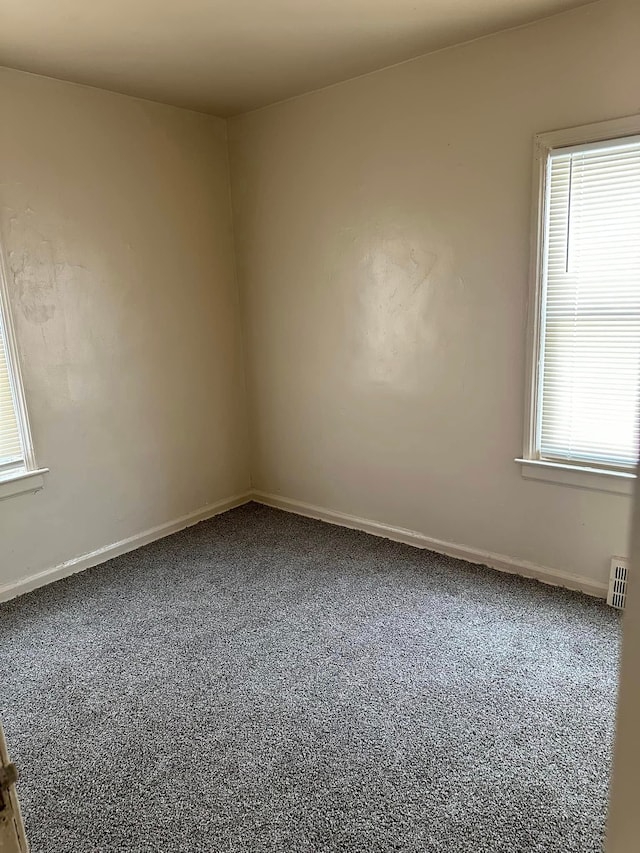 carpeted empty room with a healthy amount of sunlight