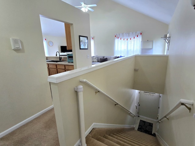 stairs featuring high vaulted ceiling, sink, and carpet flooring