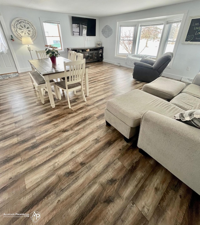 living room with wood-type flooring