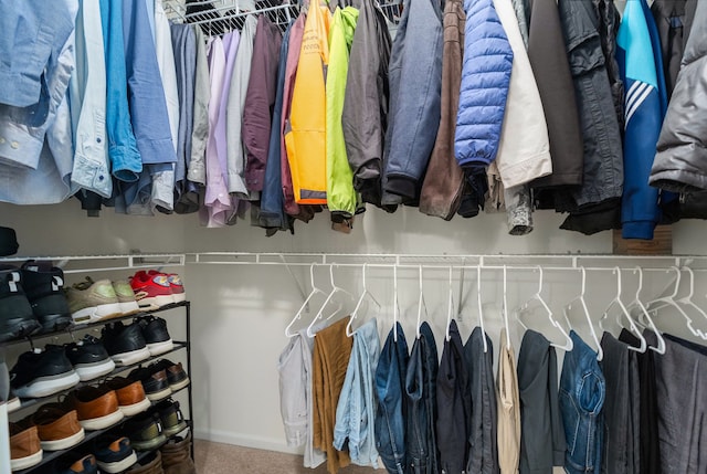 spacious closet with carpet floors