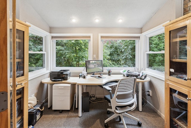 office area with carpet floors, a textured ceiling, and lofted ceiling