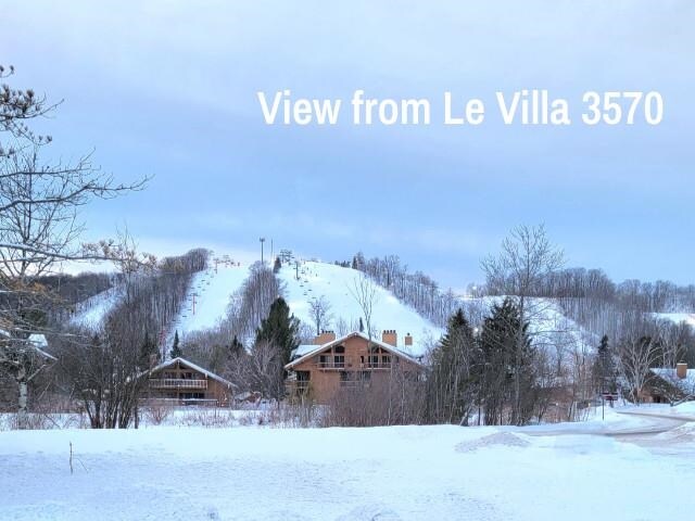 6601 Schuss Mountain Ln, Mancelona, MI 49659