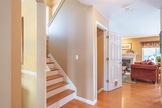 stairs featuring wood-type flooring