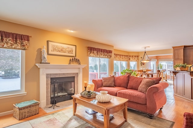 living room with a fireplace, light hardwood / wood-style flooring, and a healthy amount of sunlight