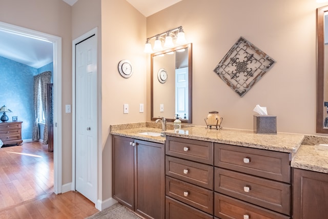 bathroom with wood-type flooring and vanity