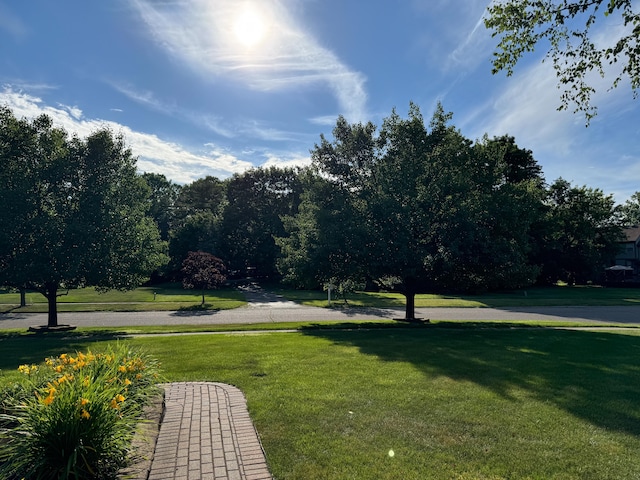 view of property's community with a yard