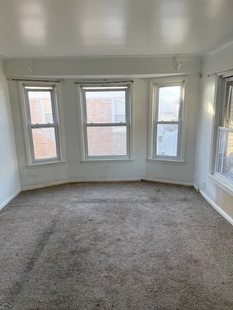 carpeted empty room featuring plenty of natural light