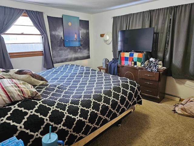 3593 Southern Dr, Hart, MI 49420 - bedroom with carpet and a baseboard heating unit